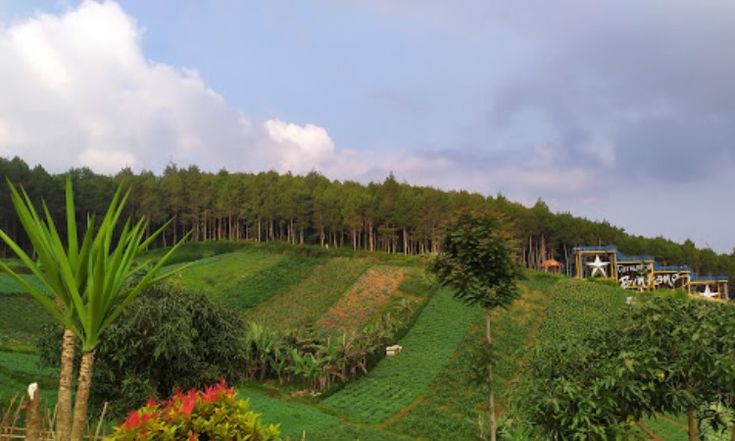 Rekomendasi Destinasi Indonesia untuk Introvert Rekomendasi Destinasi Indonesia untuk Introvert